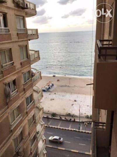 Cool Alexi * Alexandria